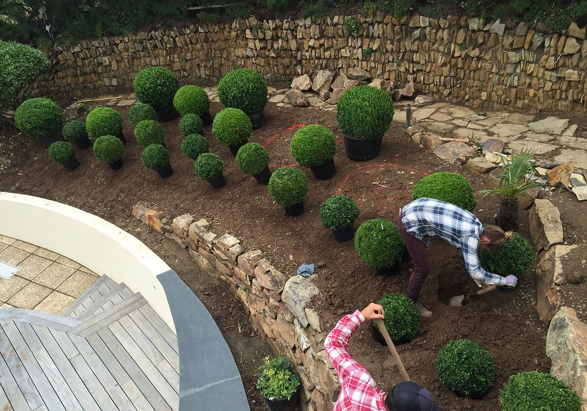 Bay-Gardens-Croyde-Planting